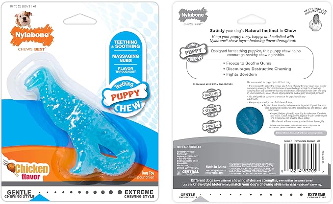 Nylabone New Puppy Starter Kit, 5 Chew Toys and 1 Natural Treat - Image 9