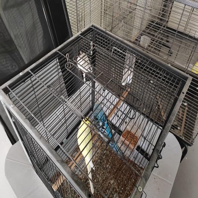 Metal Bird Cage 24 Inch High, Parrot Cage - Image 3