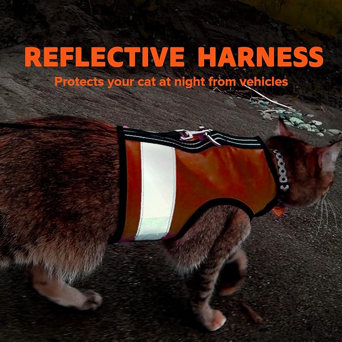 Kitty Holster Reflective Cat Harness – High-Visibility Cat Harness - Image 6