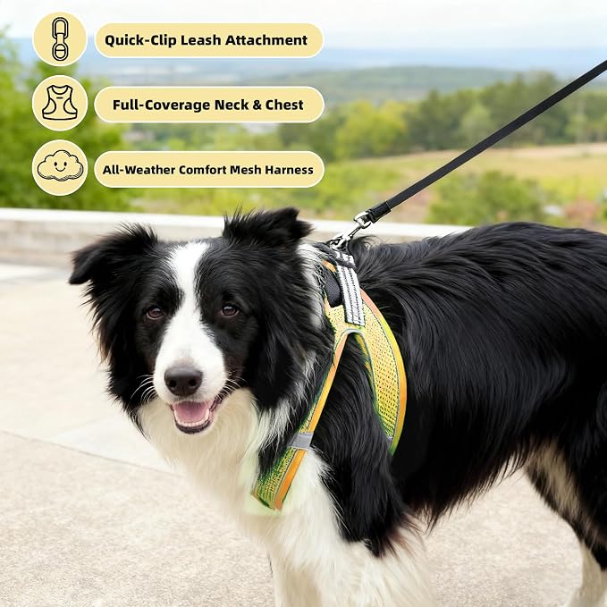 ROYPET Step-in Air Dog Harness, All Weather Mesh Step in Vest Harness - Image 3
