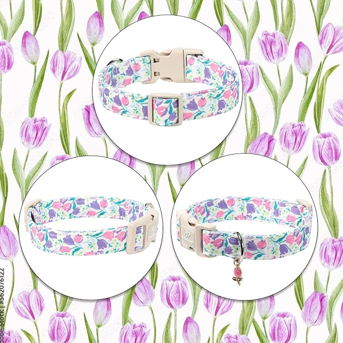 Floral Dog Collar for Medium Dogs - Image 7