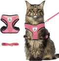 shudyear Summer cat Chest Harness and Leash, Anti-Escape Adjustable Soft mesh by Shudyear