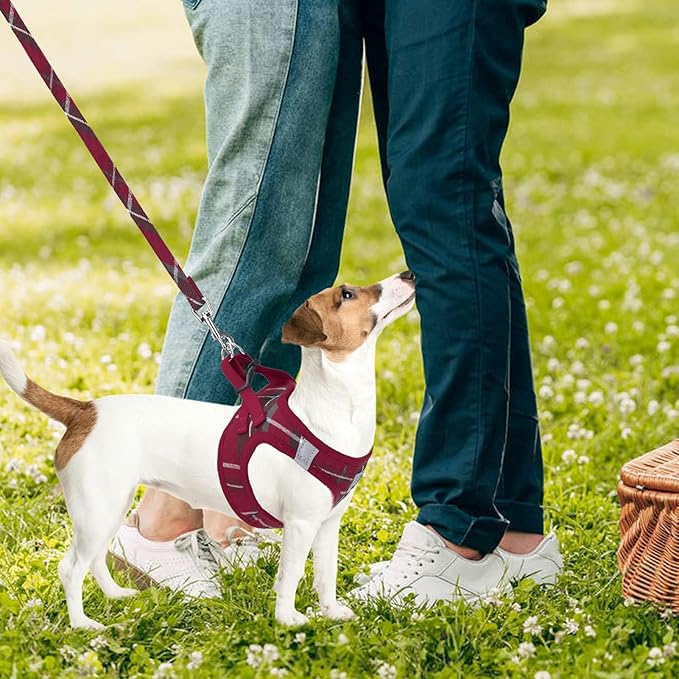 PUPTECK Adjustable Pet Harness Collar and Leash Set Step in - Image 7