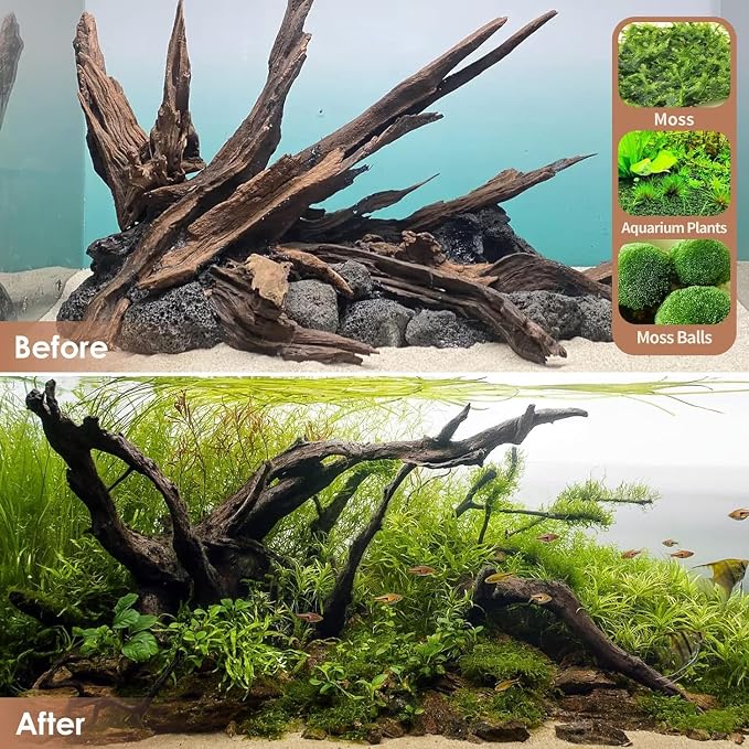 Jorewood Natural Large Aquarium Driftwood - Image 7