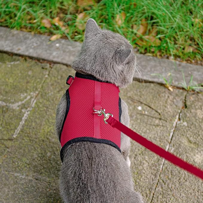 PUPTECK Soft Mesh Cat Vest Harness and Leash Set Puppy Padded Pet Harnesses - Image 6