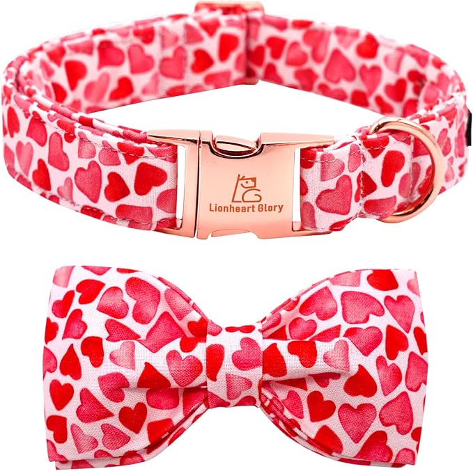 Lionheart glory Dog Collar by LionheartGlory