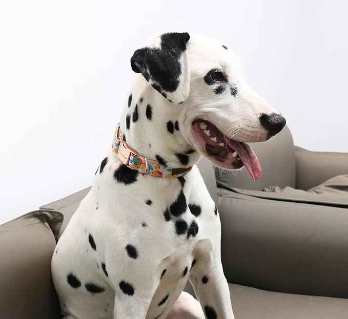 Unique style paws Dog Collar Metal Buckle Orange Collar Gift Durable Cute Collar