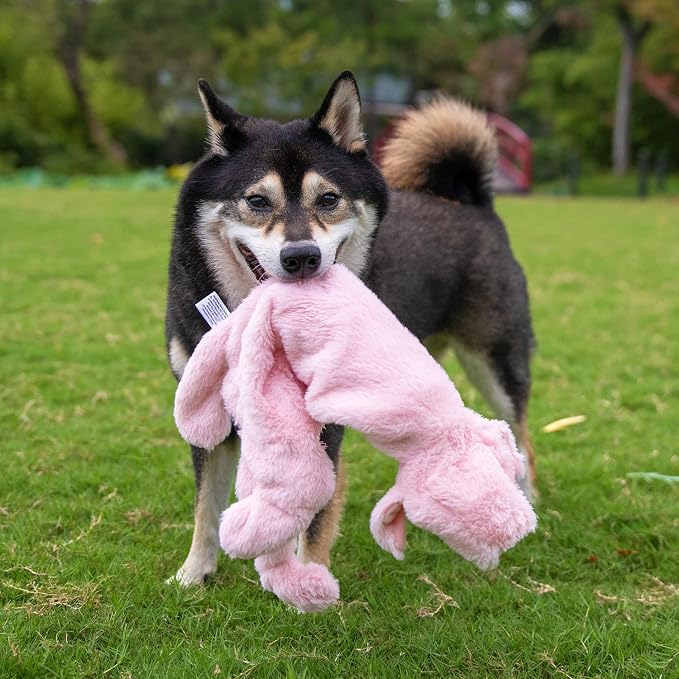 Best Pet Supplies Squeaky Dog Toys - Image 8