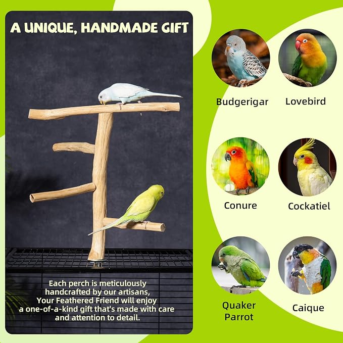 Natural Wood Bird Perch & Play Stand - Image 5