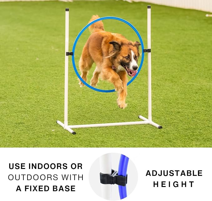 Better Sporting Dogs Complete Starter Agility Set - Image 4
