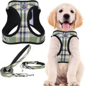 PUPTECK Adjustable Dog Harness Collar and Leash Set Step in No Pull Pet Harness by PUPTECK