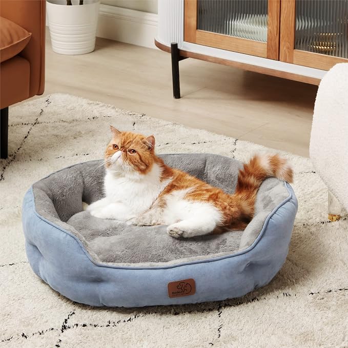 Bedsure Dog Beds for Small Dogs - Image 2