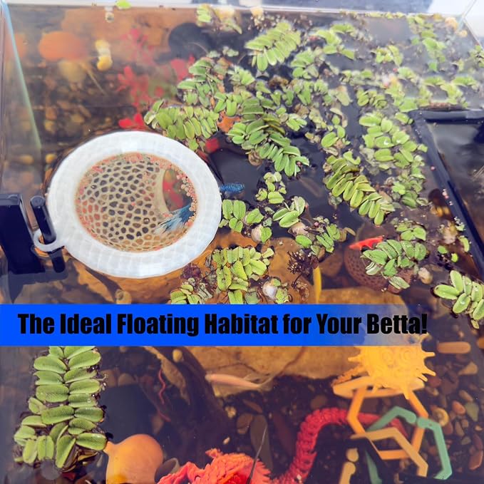 Fish Tank Floating Betta Hide，Betta or Shrimp Burrows and Hammock, Fish and - Image 5