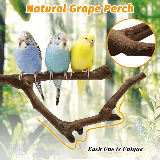 kathson 3pcs Natural Parrot Perch - Image 3
