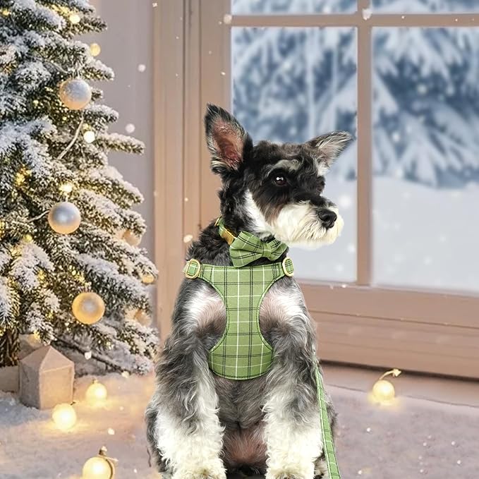 Beirui Cute Extra Small Dog Harness Collar and Leash Set - Image 4