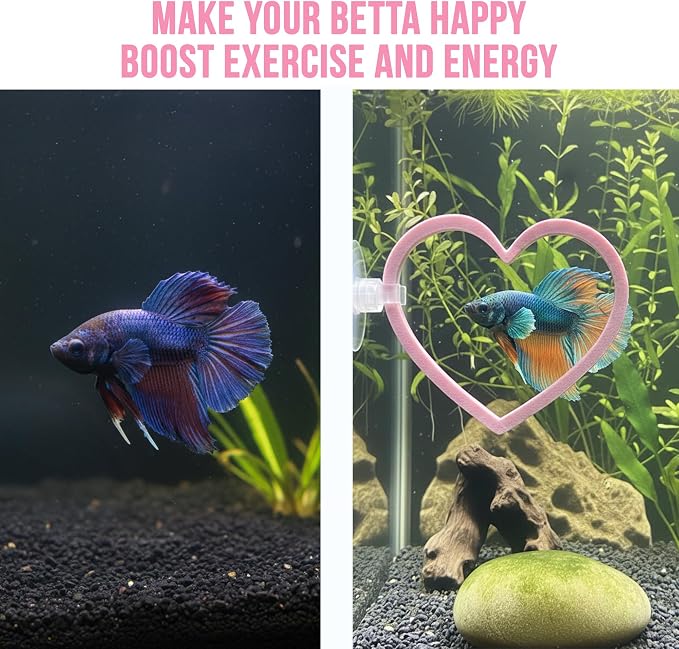 Heart Swim Ring Decor for Betta Fish, Interactive Exercise Toy for Aquariums - Image 3