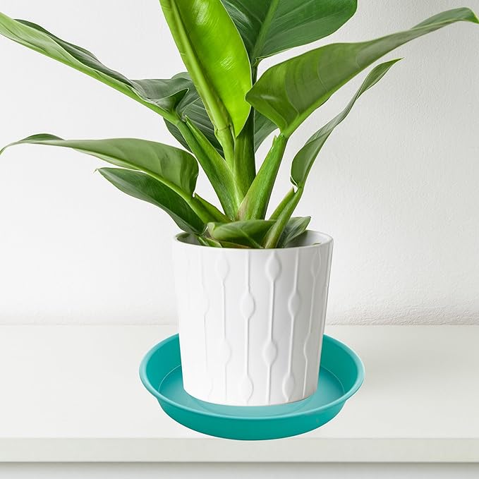 6 Pack of 10 inch Plant Saucer Blue, Heavy Duty Plastic Plant Saucer 10 inch - Image 5