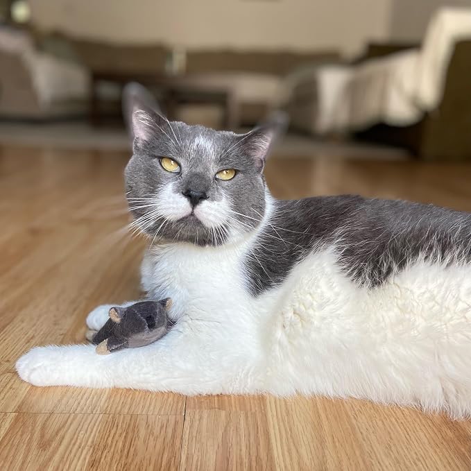 SPOT Flat Mouse Frankie with Catnip - Image 8