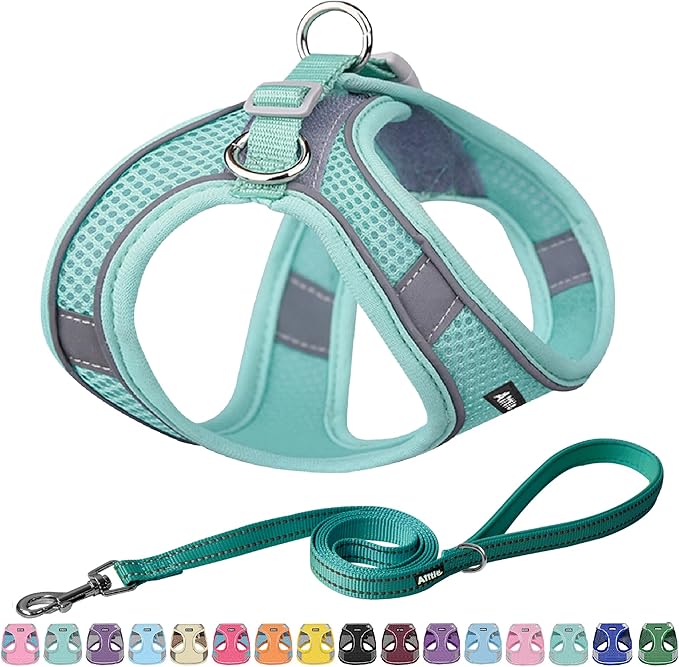 AIITLE Small Harness for Puppy by AIITLE-FORPETSBETTERLIFE
