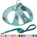 AIITLE Comfortable Dog Harness and Leash Set by AIITLE-FORPETSBETTERLIFE