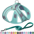 AIITLE Escape Proof Dog Harness by AIITLE-FORPETSBETTERLIFE