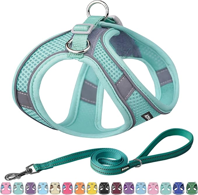 AIITLE No Pull Dog Harness and Leash Set, Step in Adjustable Dog Harness by AIITLE-FORPETSBETTERLIFE