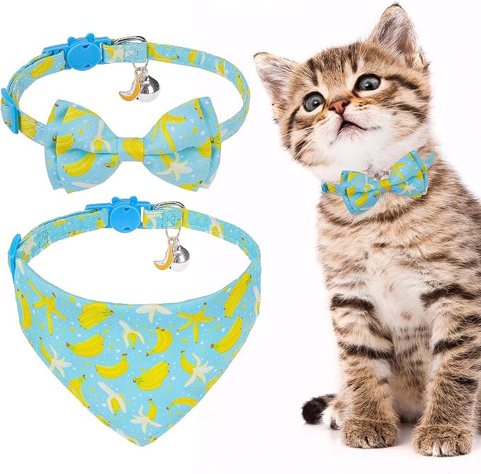 EXPAWLORER Cute Cat Collar Breakaway by EXPAWLORER