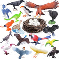 SIENON 23Pcs Birds Toys Playset by BuyNow