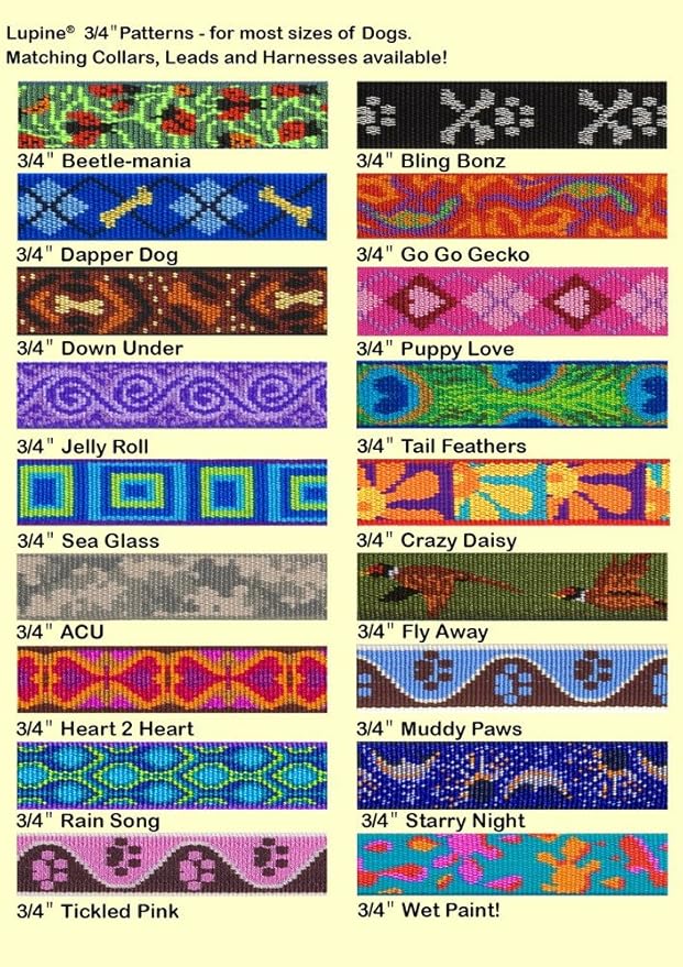 LupinePet Originals 3/4" Rain Song 13-22" Adjustable Collar - Image 3