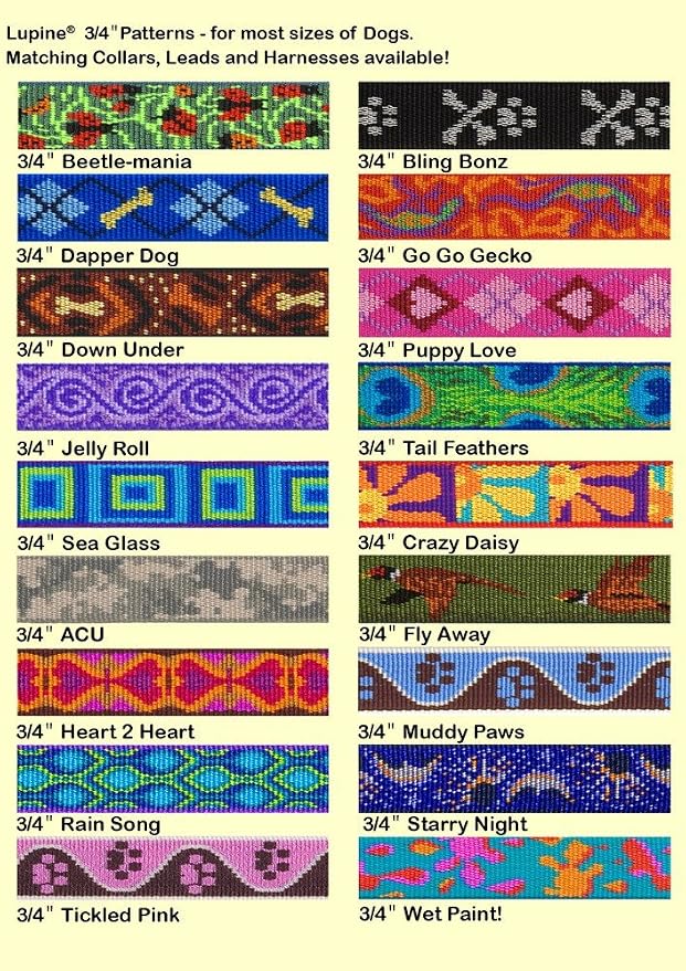 LupinePet Originals 3/4" Sea Glass 15-25" Adjustable Collar - Image 2
