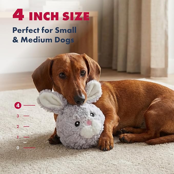 Pet Lou DOG'Z 4 Inch EZ Squeaky Rabbit Dog Plush Toy, Stuffing-Free Soft Plush - Image 6