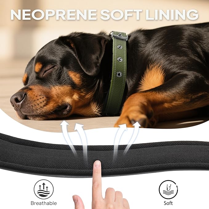 PetiFine Dog Collar for Large Dogs, Neoprene Padded and Adjustable, Reflective - Image 4