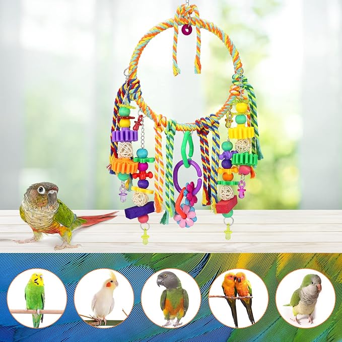 Bird Swing Toy with Perches - Image 5
