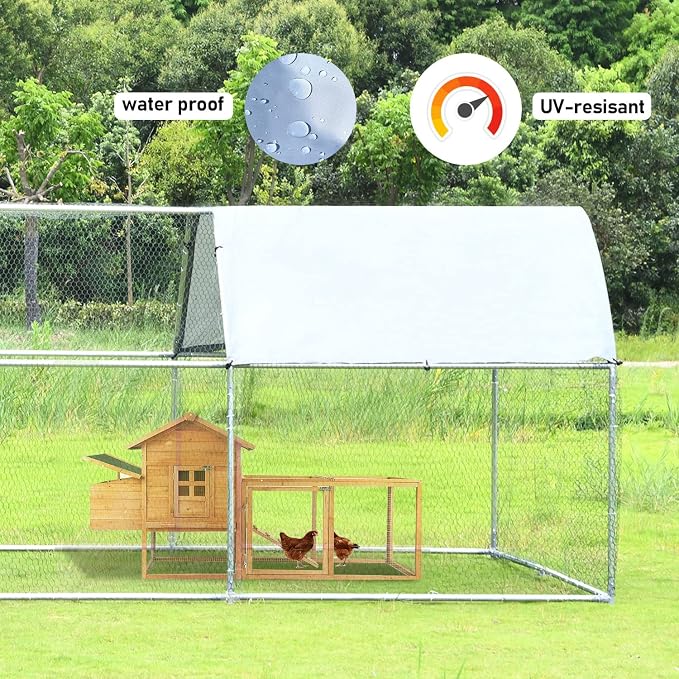 1.26'' Chicken Runs for Yard - Image 5
