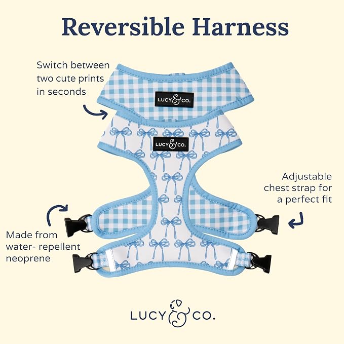 Lucy & Co. Cute Reversible Dog Harness Walking Halter - Image 5