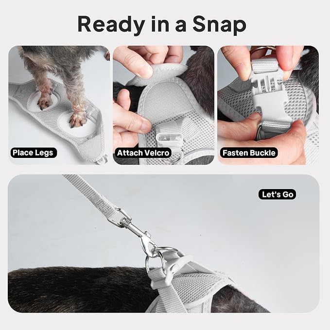 PetiFine Extra Small Step in Dog Harness and Leash Set, Cat Harness and Leash - Image 8