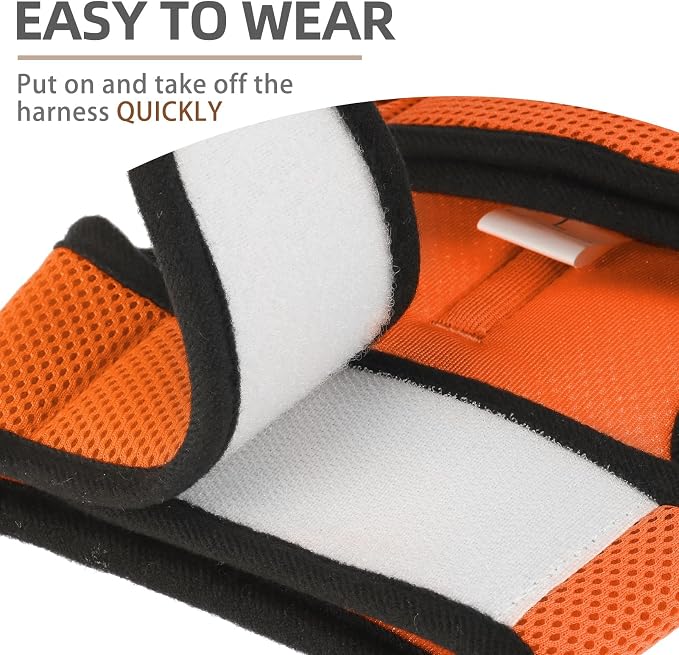 PUPTECK Soft Mesh Cat Vest Harness and Leash Set Puppy Padded Pet Harnesses - Image 5