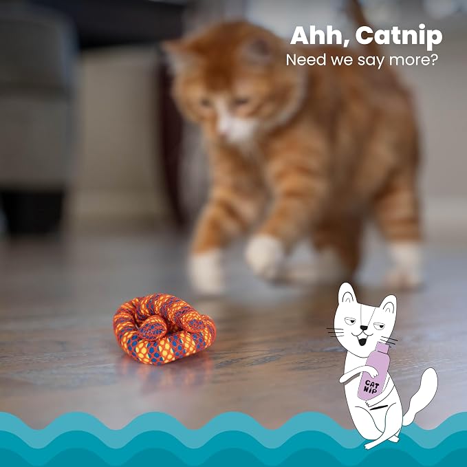Catstages Plaque Away Pretzel Cat Toy – Interactive Catnip Dental Chew Toy to - Image 3