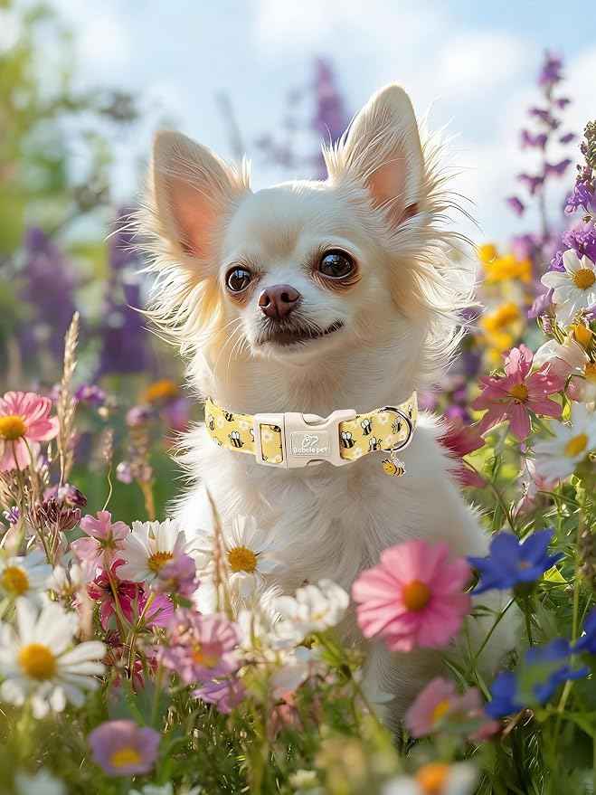 Bee & Daisy Dog Collar for Medium Dogs