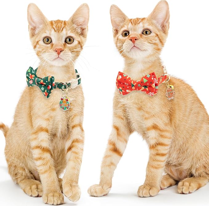 Faygarsle 2 Pack Christmas Cat Collar Set, - Image 6