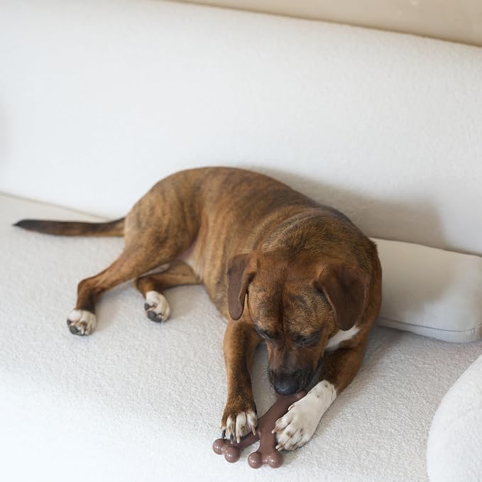 SPOT Bam-Bones Wishbone - Image 11