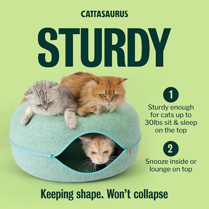 Cattasaurus Peekaboo Cat Cave Donut - Image 3