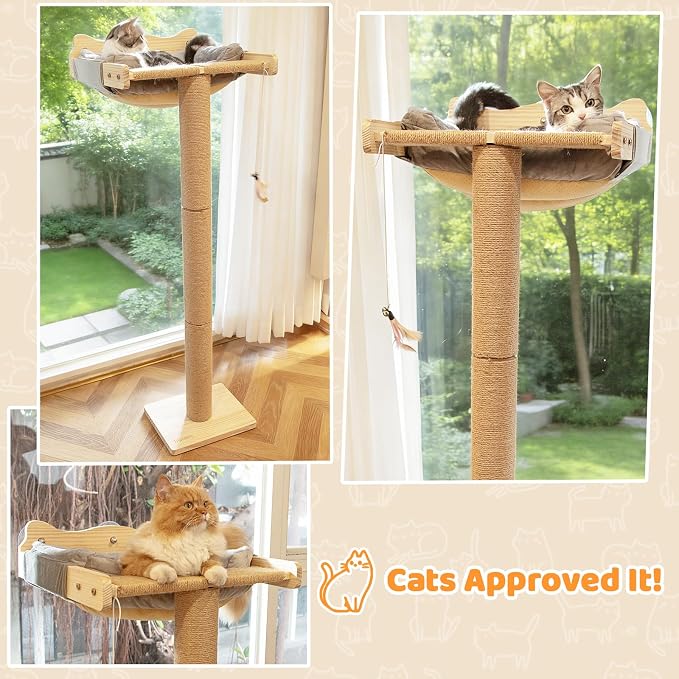 Cat Window Perch with Scratching Post, Bird Watching, Supports 45 lbs - Image 9