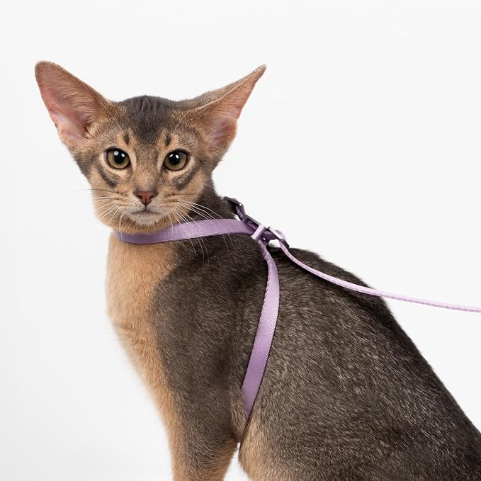 Cat Harness and Leash 2-in-1, Escape Proof Anti-Chocking Harness Adjustable - Image 8