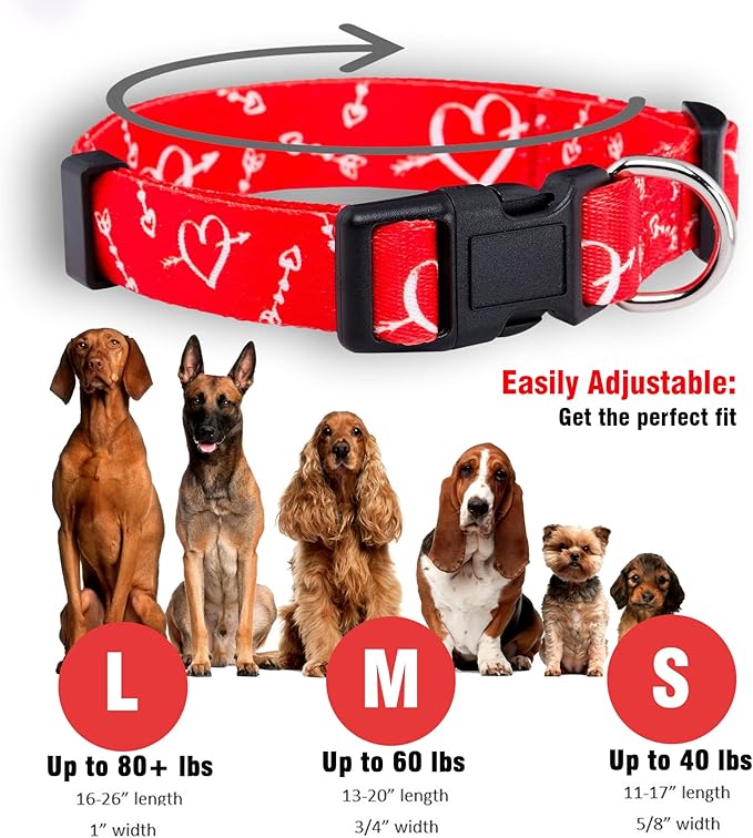 Native Pup Valentine’s Dog Collar- Valentines Day Pet Collars- Valentine Girly - Image 3