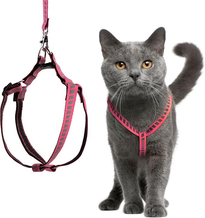 Filbert Cat Harness and Leash Set by Filbert