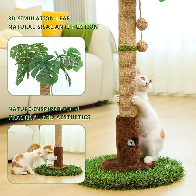 Cat Scratching Post for Indoor Cats and Kitten - Image 5