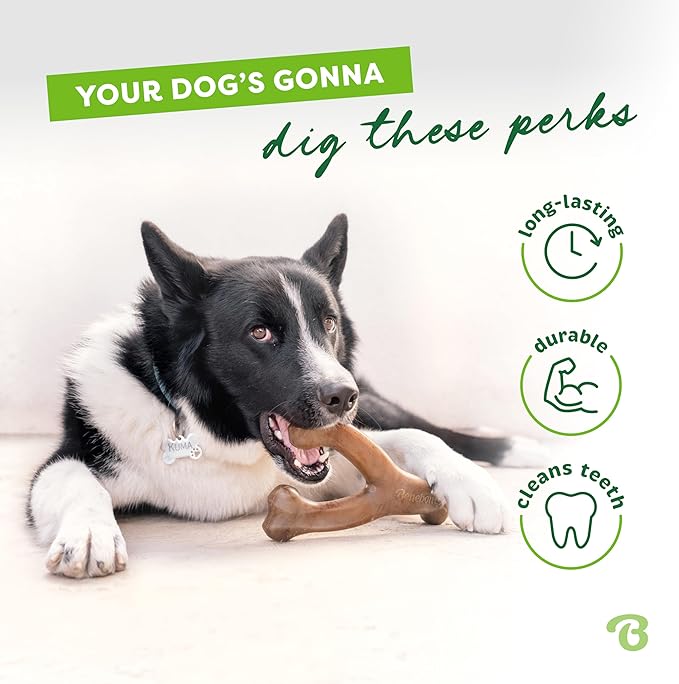 Medium 3-Pack, Benebone Wishbone Durable Dog Chew Toy - Image 3