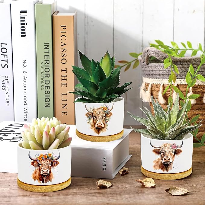 Highland Cow Succulent Pots 3 Pack, 3 Inch Succulent Planters - Image 2