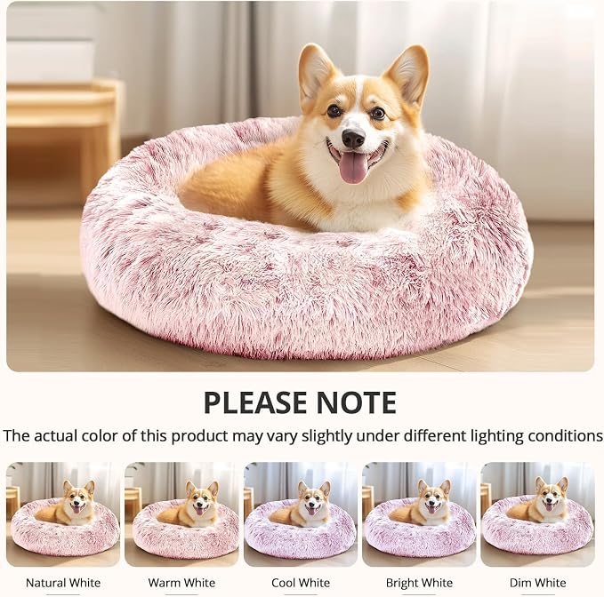 JOLLYVOGUE Calming Dog Bed for Small Dogs - Image 6